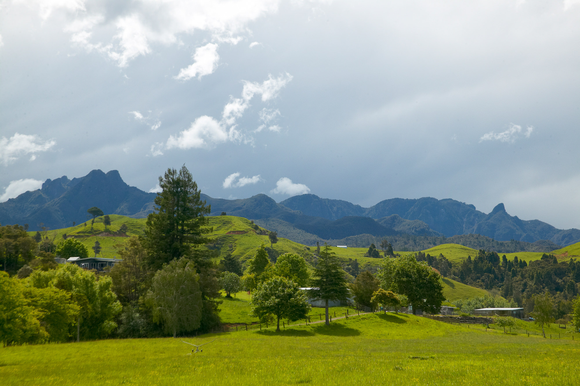 New Zealand landscape near Coromandel Island